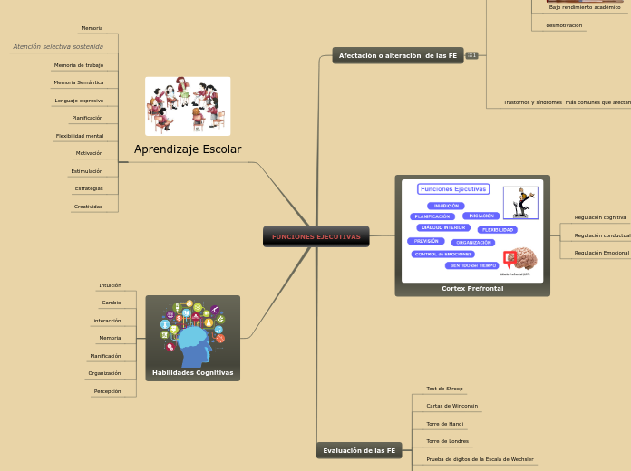 Funciones Ejecutivas Mind Map My Xxx Hot Girl